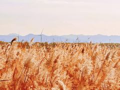 -野鸭湖国家湿地公园