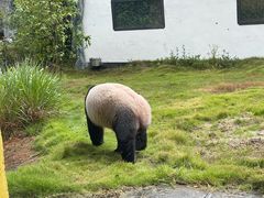 -杭州野生动物世界