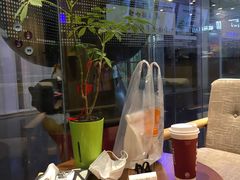 -藏猫猫咖啡主题馆(中央大道店)