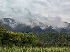 -王顺山国家森林公园