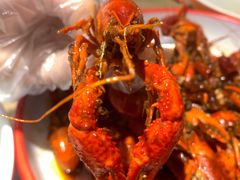 -堕落小龙虾(兰州旗舰店)