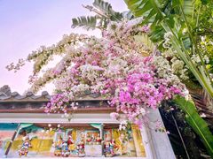-深圳国际园林花卉博览园
