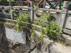 -西安祥峪森林公园