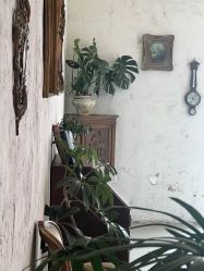 -壹HOME胶片摄影工作室