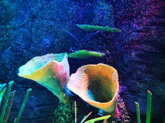 -沈阳海洋探索中心