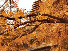 -北京石刻艺术博物馆(五塔寺)