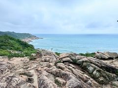 -广东惠东海龟国家级自然保护区