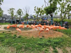 -武汉动物园