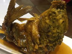 糖醋鲤鱼-闫府私房菜·百年鲁菜(恒隆店)
