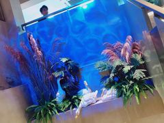 -佬土鹅肠火锅(中建大观店)