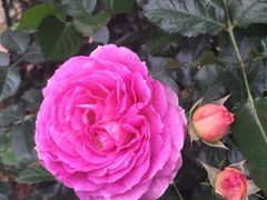 -人民公园(罗湖区)