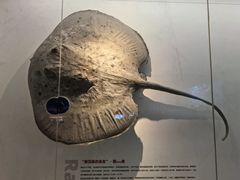 -重庆欢乐海底世界