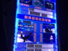 -泉城欧乐堡海洋极地世界