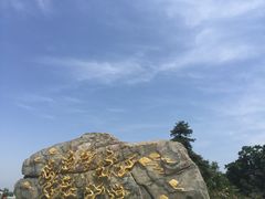-少华山国家森林公园