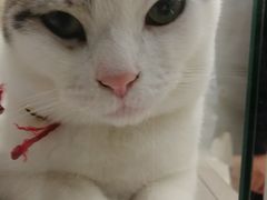 -北大资源博雅城