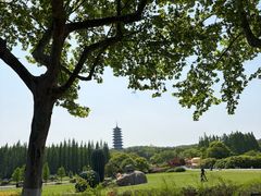 -宜兴龙背山森林公园