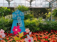 -南宫五洲植物乐园