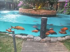 -忆江南·临江鱼馆