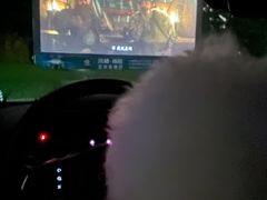 -枫花园汽车电影院(朝阳公园店)