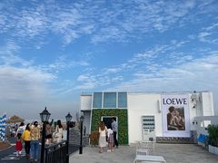 -Blue Concept Cafe&Farm·關於藍