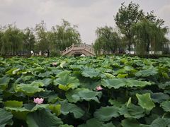 -云龙湖旅游景区