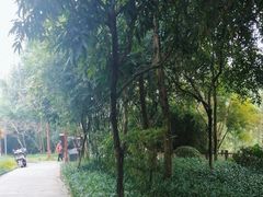 -重庆彩云湖湿地公园