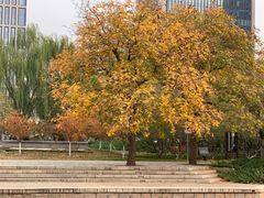 -元大都城垣遗址公园