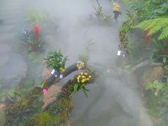 -东莞植物园
