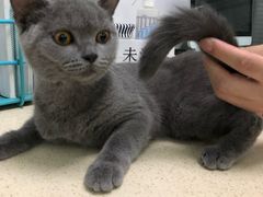 -莘程宠物医院(金山店)