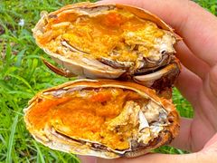 -阳澄湖大闸蟹·琼灵阁牌品牌连锁(吴中总店)