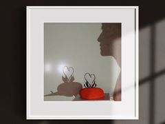 -BLACKSWAN黑天鹅(环球店)