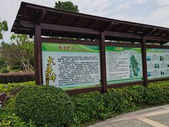 -大屏嶂森林公园