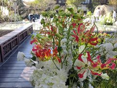 -杭州西子湖四季酒店-WL BISTRO西湖餐厅(灵隐路店)