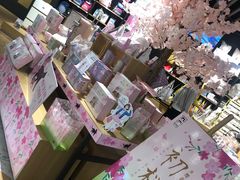 -九木杂物社(恒隆广场店)