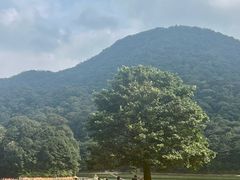 -广州市石门国家森林公园