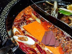 山珍松茸鸳鸯锅-渝大龙重庆火锅(温泉月亮湾店)