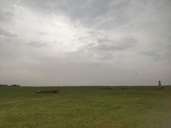 -红碱淖景区