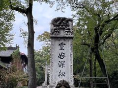 -灵谷景区