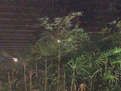 -大妙火锅·非物质文化遗产(东湖公园店)