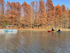 -上海海湾国家森林公园