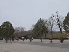 -秦始皇帝陵博物院-丽山园
