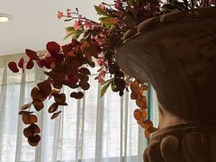 -叶叶菩提(太原别墅店)