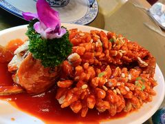 松鼠鱼-金牌餐厅·天津菜·八珍豆腐·老爆三(瓷房子店)