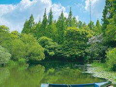 -上海共青森林公园