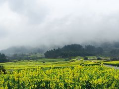 -樱桃山旅游景区