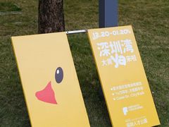 -深圳人才公园