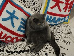 -ID.PHOTO照相馆(嘉里企业中心店)