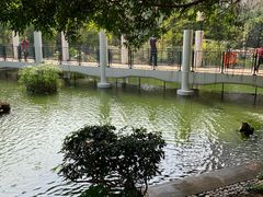 -九龙公园