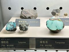 -中国地质博物馆