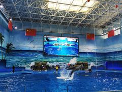 -多彩贵州城极地海洋世界